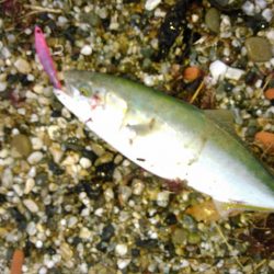 ジャイアントドックX